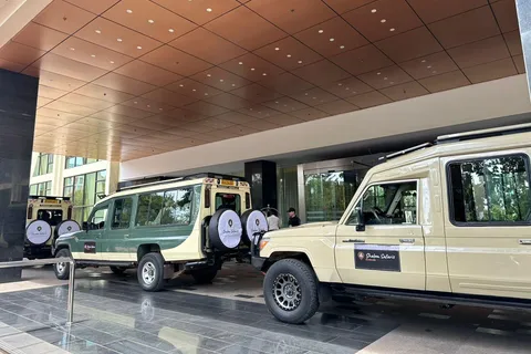 From Kigali: 1-Day Gorilla Trekking Rwanda Tour