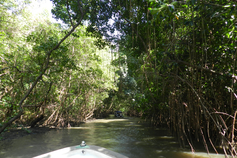 Caburé - Excursion en bateau sur le Rio Preguiças