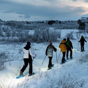 Abisko: Wilderness Snowshoe Hike