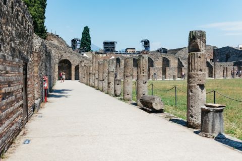 Scavi archeologici di Pompei e Vesuvio: tour da Napoli