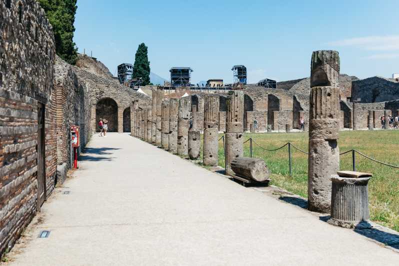 Desde Nápoles: tour de las ruinas de Pompeya y monte Vesubio