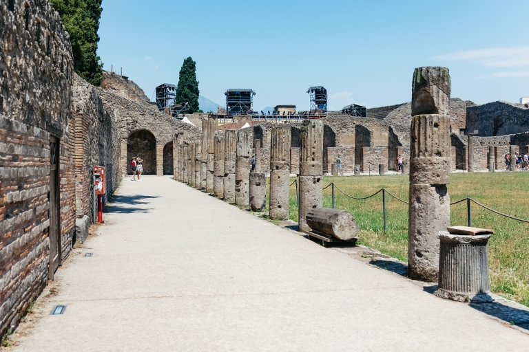 Z Neapolu: Pompeje i Wezuwiusz – wycieczka całodniowaWycieczka w języku angielskim z przewodnikiem na żywo z odbiorem z hotelu
