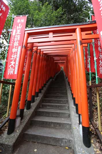 Tokio: tour privado de feng shui, torii rojos y neones