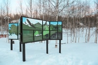 Desde Fairbanks, Arctic Circle Northern Lights Trip de día completo - Housity