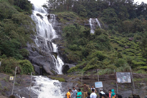 Kochi : Trek dans la forêt de Munnar et vue sur le pic Anamudi - Circuit de 3 joursKochi : randonnée dans la forêt de Munnar et vue sur le pic Anamudi, circuit de 3 jours