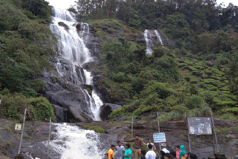 Kochi : Trek dans la forêt de Munnar et vue sur le pic Anamudi - Circuit de 3 joursKochi : randonnée dans la forêt de Munnar et vue sur le pic Anamudi, circuit de 3 jours