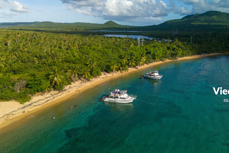 Fajardo: Vieques Island Snorkeling with Turtles Boat Tour