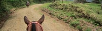Fullday1, подвесные мосты+лесные облачности+лошадь Monteverde - Housity