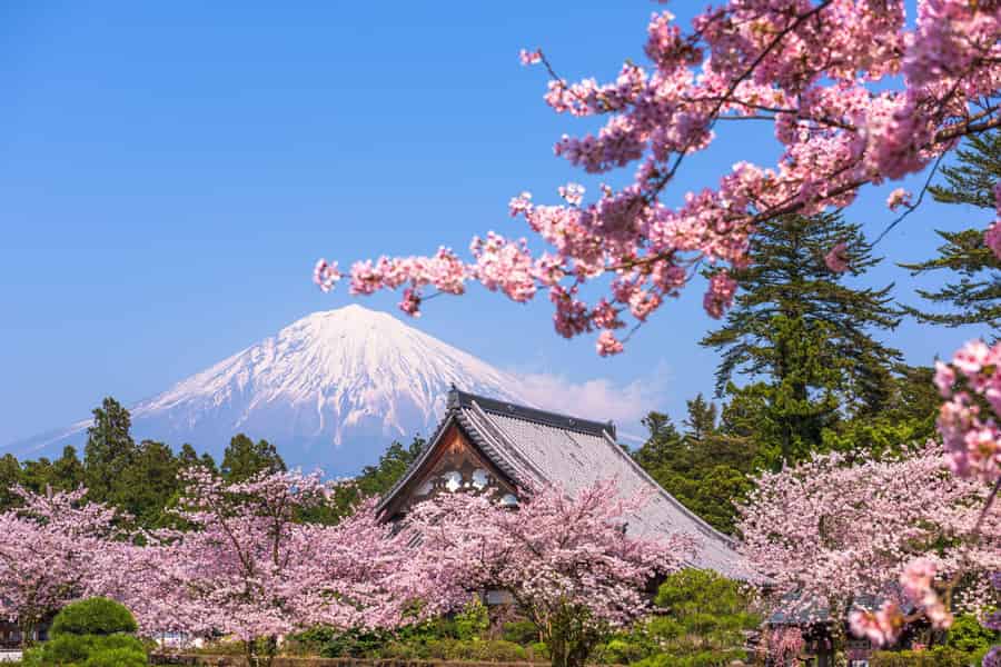 Ab Tokio: Unverzichtbare Tagestour zu den Highlights des Fuji. Foto: GetYourGuide