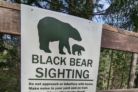 Grouse Mnt+StanleyPark+Hatchery+Cleveland Dam+LynnCanyonTOUR Shared Tour