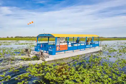 Flórida: Cruzeiro de 90 minutos em Everglades