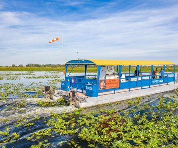 Florida: 90 minutters krydstogt i Everglades