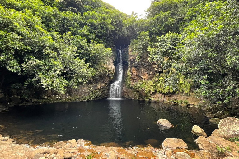 Mauritius: Południowo-zachodnie wybrzeże i lunch