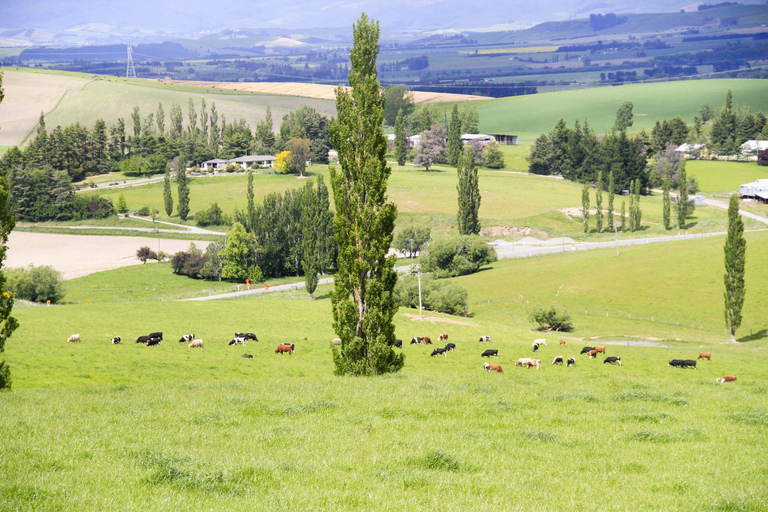 Christchurch: 2-Day Mt Cook &amp; Lake Tekapo Stargazing Tour