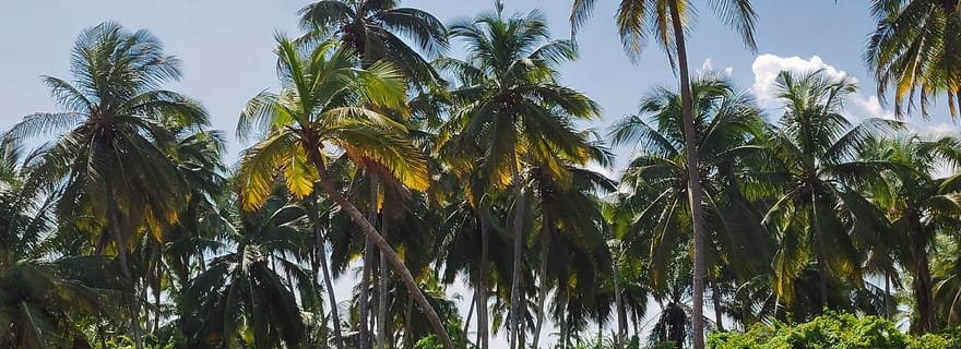 Au départ de Cotonou : Découverte de Grand-Popo et de l'embouchure