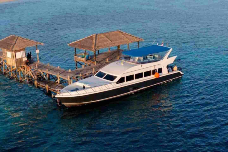Komodo 1 day trip with speed boat