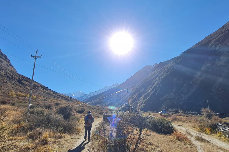 Desde Katmandú: Senderismo de 7 días por el Valle de Langtang