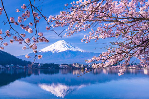 Tóquio: Monte Fuji, Lago Ashi e Monte Komagatake - Viagem de 1 diaTóquio: Viagem de 1 dia ao Monte Fuji, Lago Ashi e Monte Komagatake