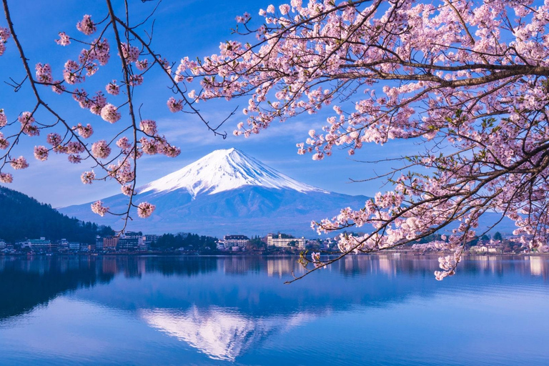 Tóquio: Monte Fuji, Lago Ashi e Monte Komagatake - Viagem de 1 diaTóquio: Viagem de 1 dia ao Monte Fuji, Lago Ashi e Monte Komagatake