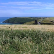 Private Wild Atlantic Day Tour from Cork Private Wild Atlantic Day Tour from Cork