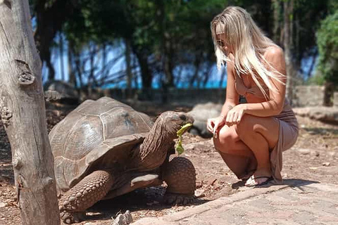 Zanzibar: Gevangeniseiland privé halfdaagse tour met gids.