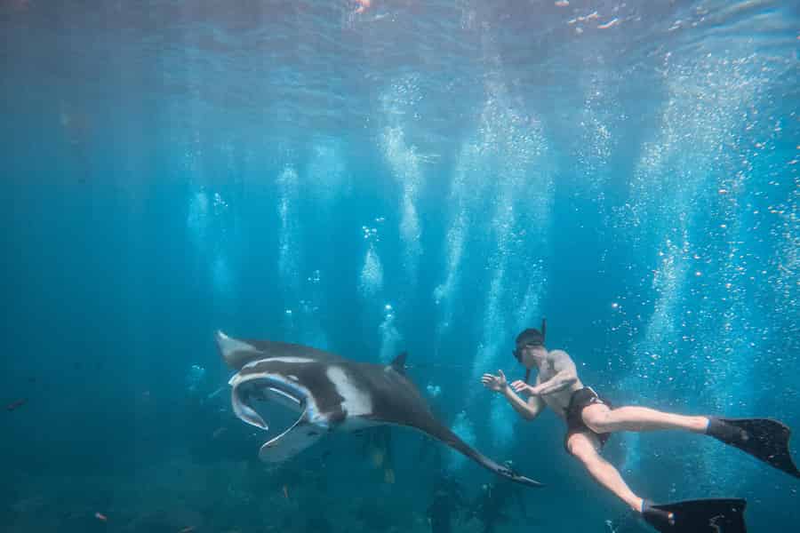 Nusa Penida: Schnorcheln am Manta Point & Westküsten-Tour. Foto: GetYourGuide Nusa Penida: Schnorcheln am Manta Point & Westküsten-Tour. Foto: GetYourGuide