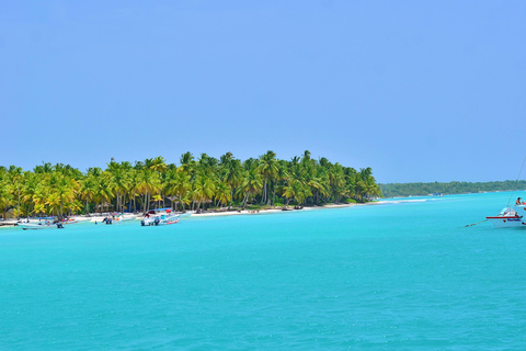 Punta Cana: Island escape to Saona, catamaran & beach lunch Punta Cana: Catamaran Party Cruise | Open Bar & Snorkeling