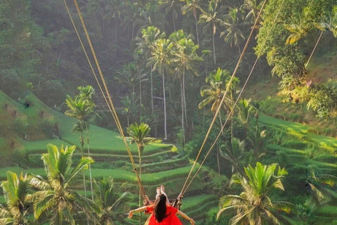 Monte Batur: avventura in jeep all'alba con opzioni di tour a UbudGiro in jeep all'alba + foresta delle scimmie (con trasferimento dall'hotel)