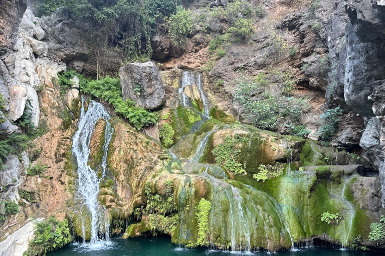 山地野生动物园山地探险