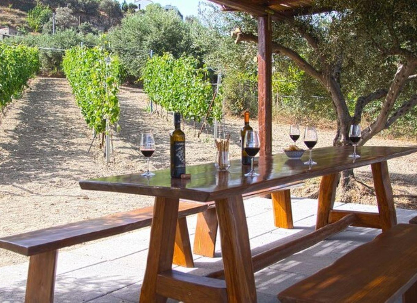HERAKLION: Vinsmagning på Douloufakis Vineyards ARISMARI