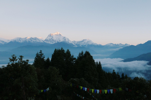 Ghorepani Poonhill: 3-dniowy trekking