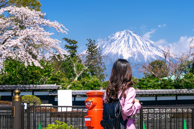 Tokyo: Private Mt. Fuji Luxury Day Tour – Fully Customizable Luxury Land Cruise Customizable Tour