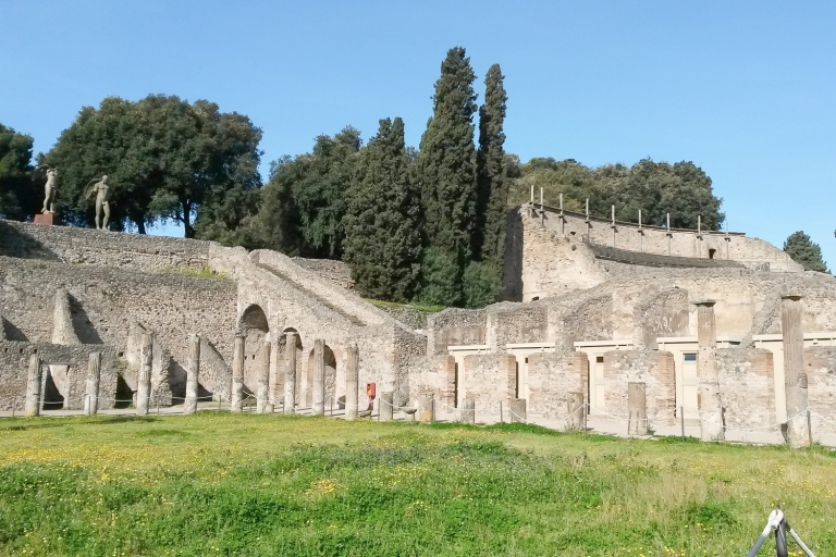 Ab Sorrent: Durch die Ruinen von Pompeji und Abenteuer Vesuv