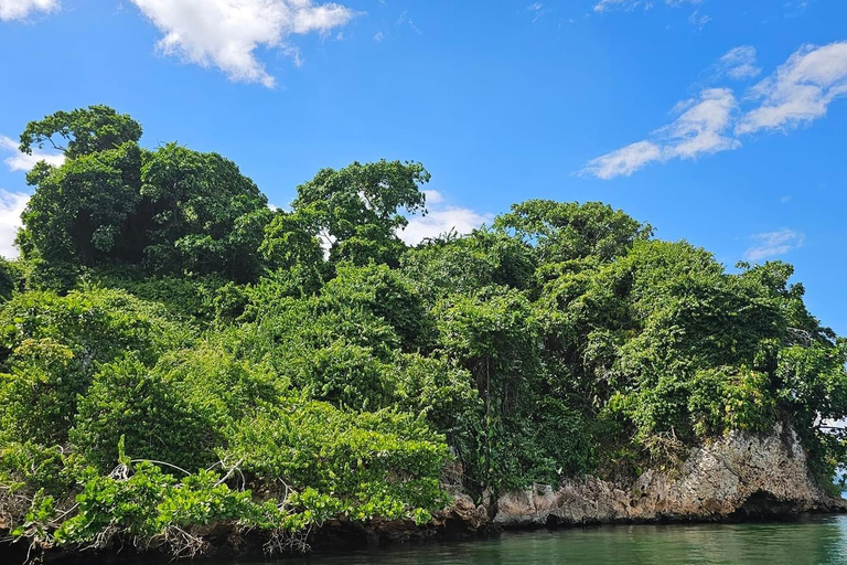 3-in-1: Los Haitises w/ Montaña Redonda & Yanigua Waterfalls