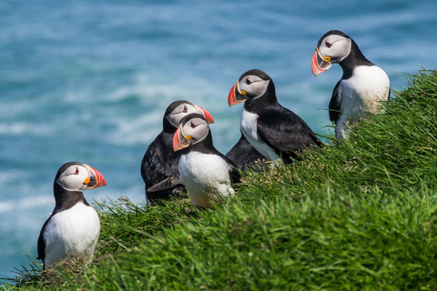 Tour particular pela Glacier Lagoon e Diamond BeachTour particular em um veículo de 1 a 6 lugares