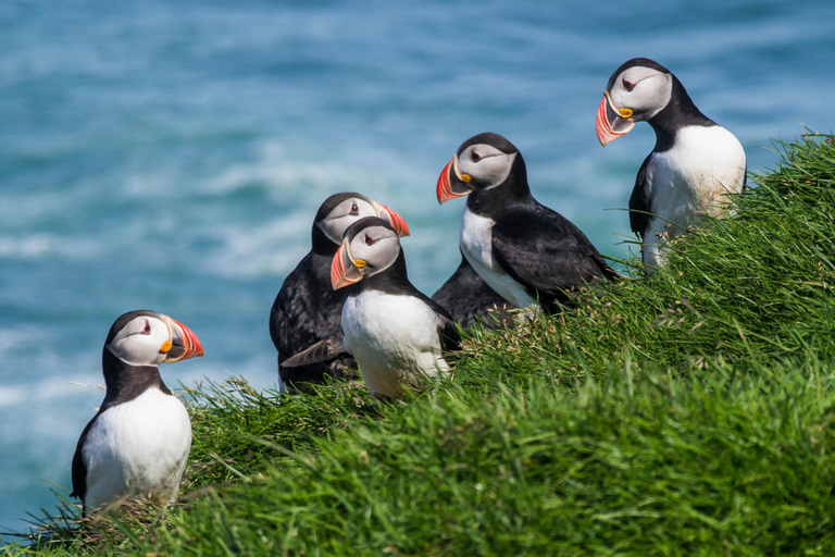 Tour particular pela Glacier Lagoon e Diamond BeachTour particular em um veículo de 1 a 6 lugares