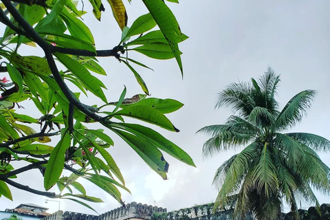 Zanzibar: Spice Farm Tour with Cooking Class and Stone Town