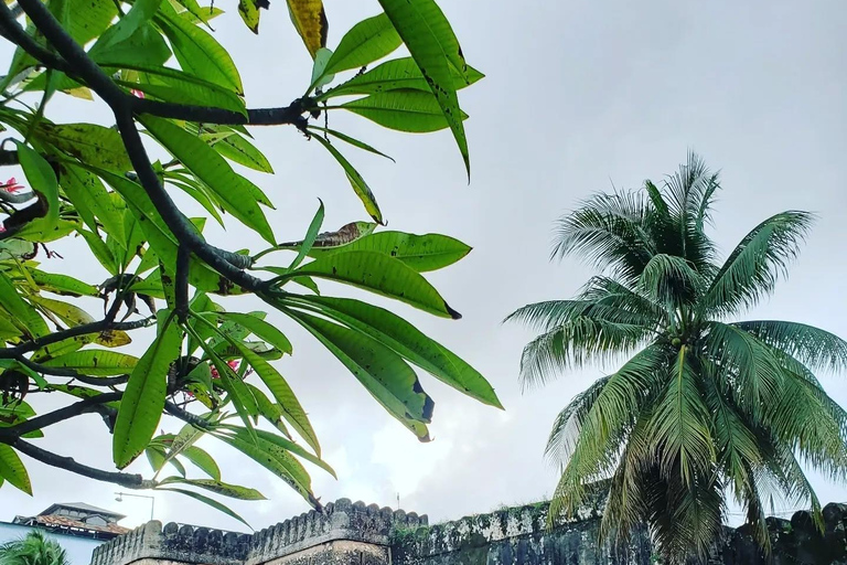 Zanzibar: Spice Farm Tour with Cooking Class and Stone Town