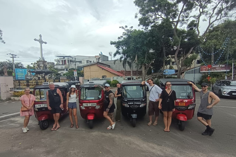 Negombo City Tour & Lagoon Boat safari with Fruit Tasting