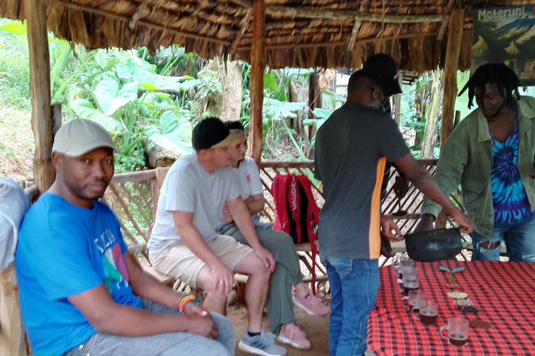 Arusha/Moshi: cascada, tour del café y vino de plátanoCascadas de Materuni, plantación de café y almuerzo desde Arusha