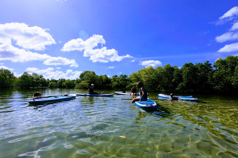Zanzibar: Unik guidad mangrovetur med SUP eller kajak