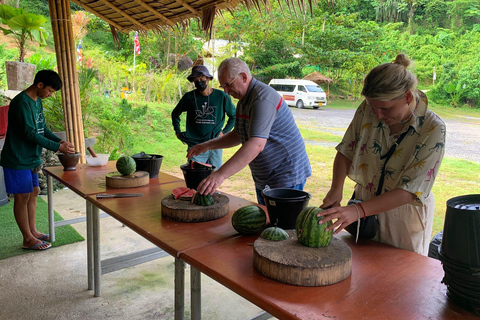 Tour de la ciudad de Phuket con miradores, templos y alimentación de elefantesServicio de recogida del hotel en Patong, Karon o Kata Beach