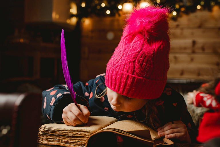 Levi：Arcandia，精灵法庭/日光和公园/黑暗精灵法庭：3 小时体验和公园之旅