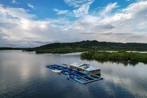 Seafood Gastronomic Tour to the Floating Restaurant of Puntarenas by boat