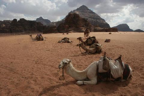 Amman: Petra & Wadi Rum overnight at Camp