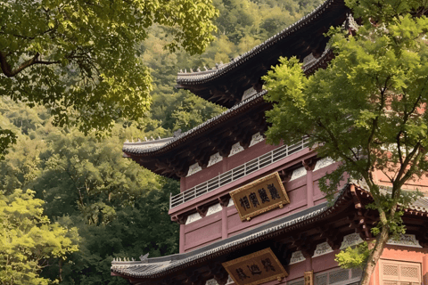 Hangzhou Zen and Pagoda Shadows One-Day Tour