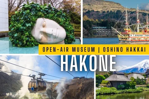 Tokyo: Mt.Fuji, Hakone & Open-Air Musuem or Oshino Hakkai