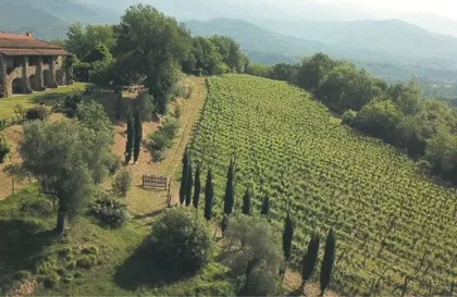 Luxuriöse Weingut-Tour mit Verkostung in der nördlichen Toskana