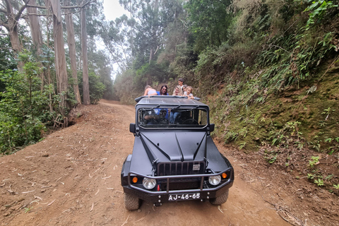 Madeira: SkyWalk, Fanal, Piscinas Naturais Passeio de jipe 4x4