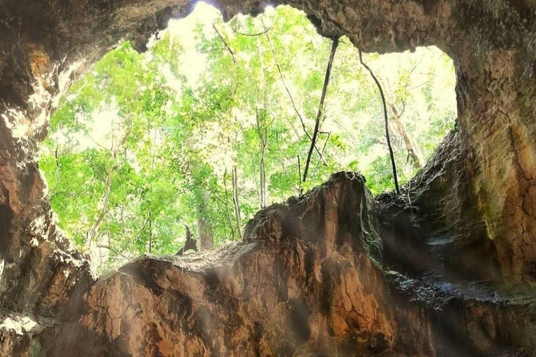 From Punta Cana: Los Haitises Tour: Mangroves, Caves + Round Mountain